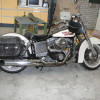 harley